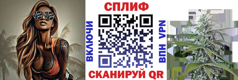 Каннабис сатива  shop формула  Шали  даркнет сайт 